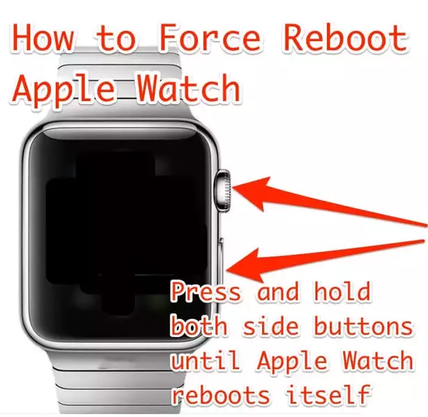 Force Restart Your Apple Watch