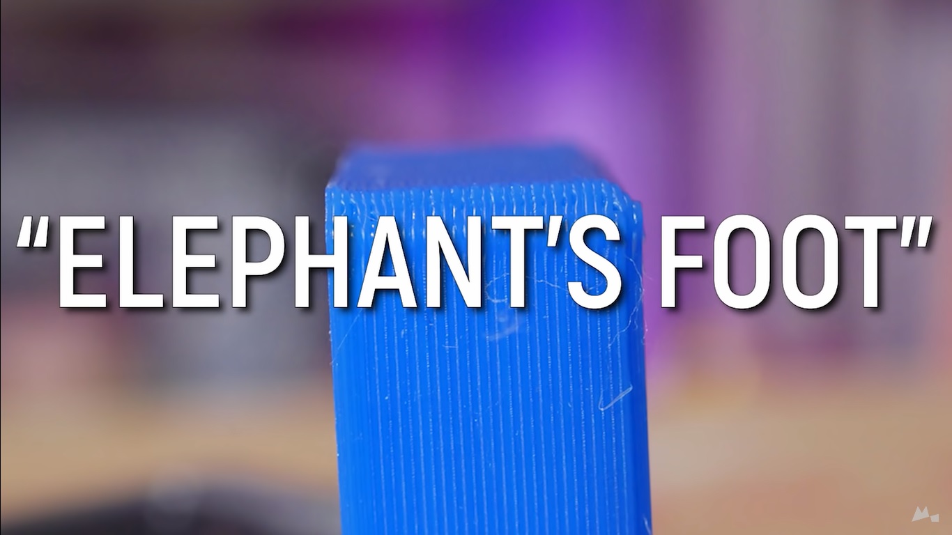 What Is Elephant Foot