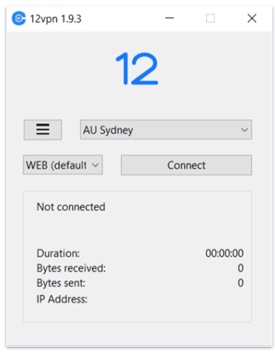 12VPX VPN interface screenshot